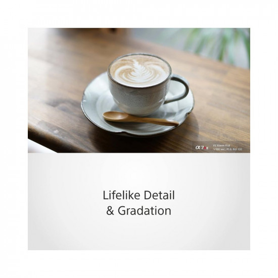 Sony E Mount Fe 50Mm F1.8 Full-Frame Lens (Sel50F18F)|Prime Lens|for Soft Bokeh,Black