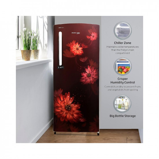 Voltas Beko 200 L 4 star Direct Cool Refrigerator, Dahlia Wine (RDC220B60/DWEXXXXSG)