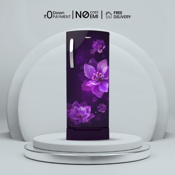 Whirlpool 200 L 3 Star Direct-Cool Single Door Refrigerator (215 IMPRO ROY 3S PURPLE MULIA, Purple Mulia)
