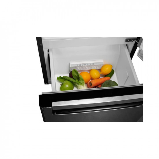 Whirlpool 300 L Frost Free Multi Door Refrigerator FP 313D PROTTON ROY