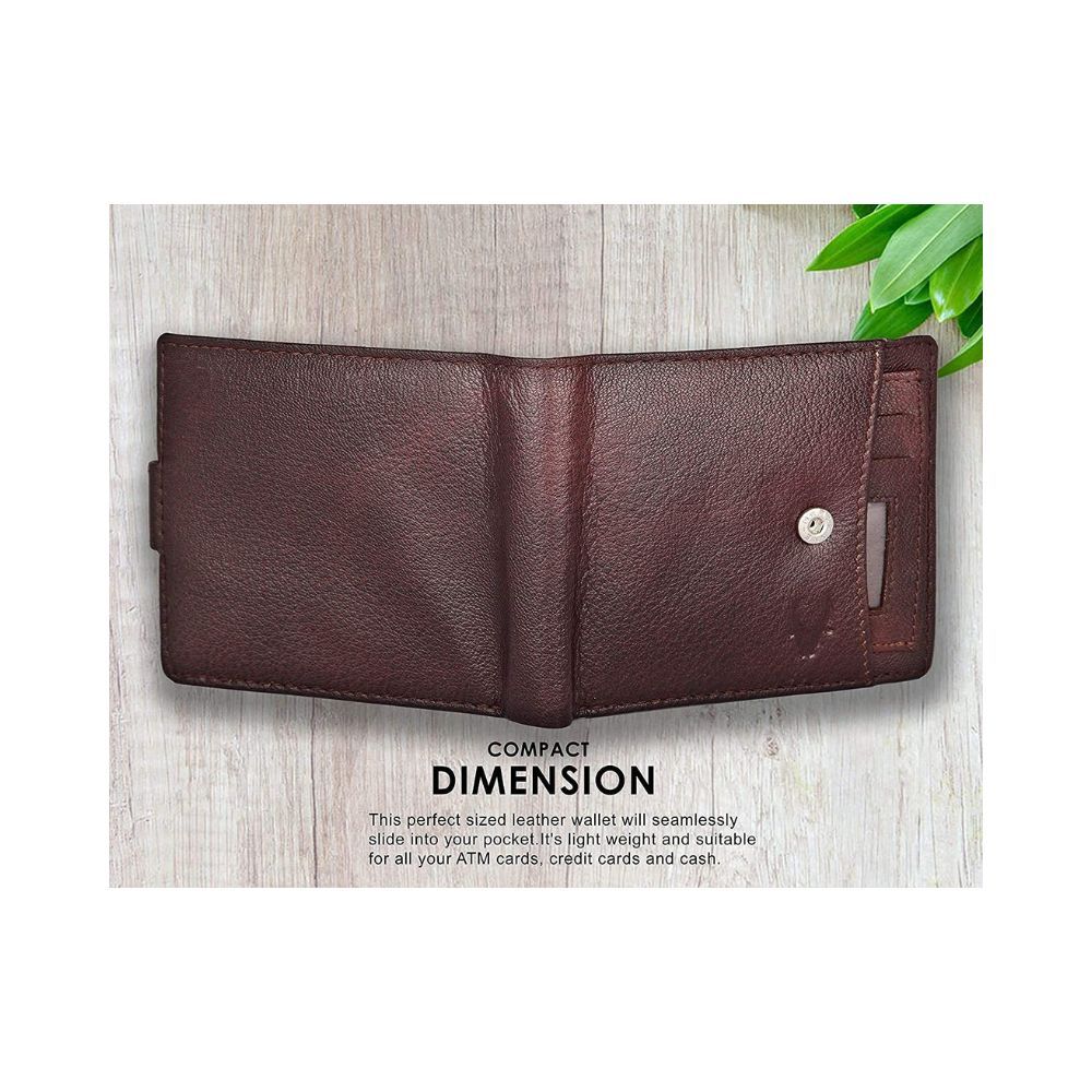 WildHorn Brown Leather Men's Wallet for Regular Use